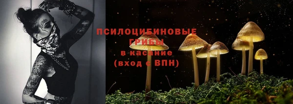 бутират Алзамай