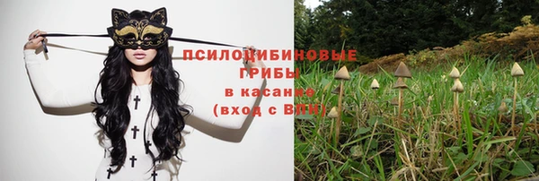 бутират Алзамай