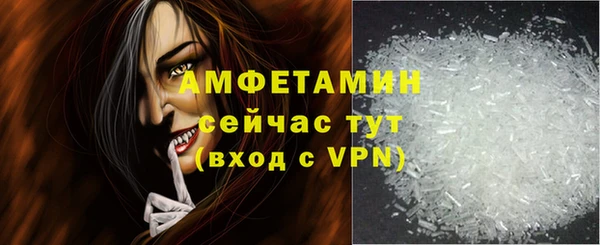 дживик Снежногорск