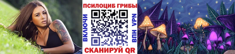 Галлюциногенные грибы Cubensis  Карабулак 